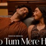 Dekho Na Dekho Na Zulfon Se Song Lyrics – Anuv Jain