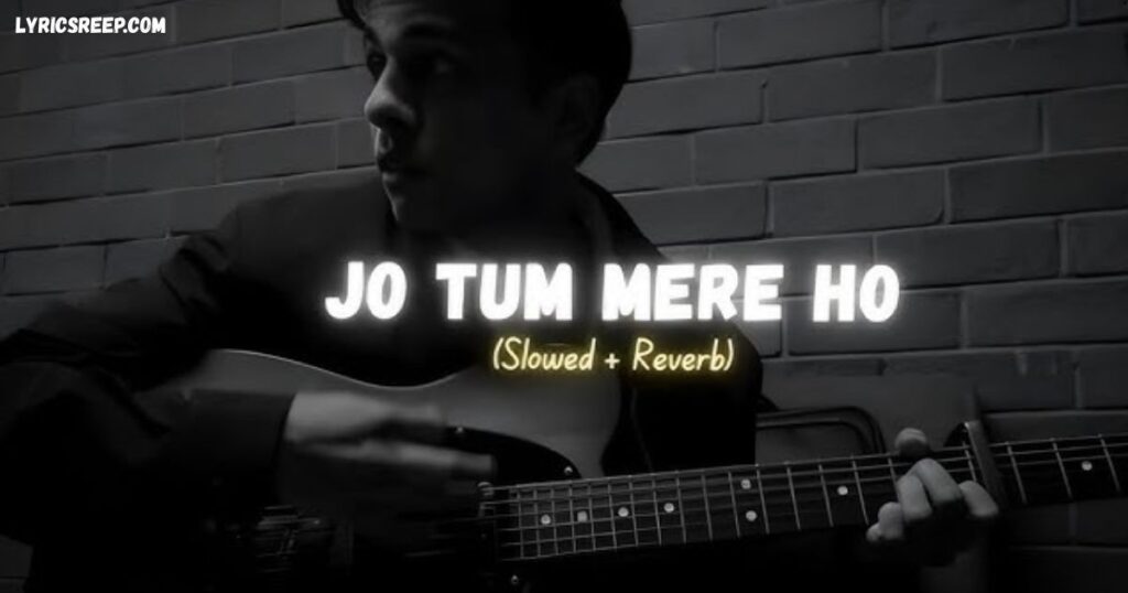 Jo Tum Mere Ho Song Lyrics - Anuv Jain